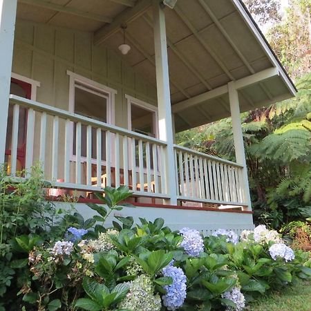 Carson'S Kaloko Mountain Cabin Kailua-Kona Exterior foto